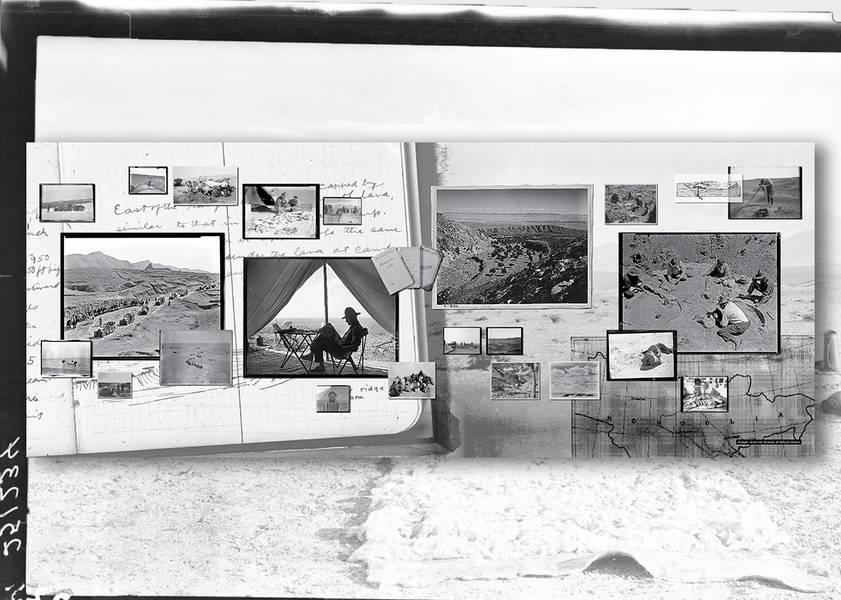 exhibition panels with dinosaurs and archives black & white photographs